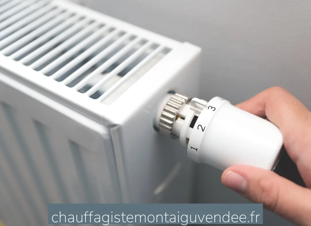 Remplacement de Thermostat Montaigu-Vendée